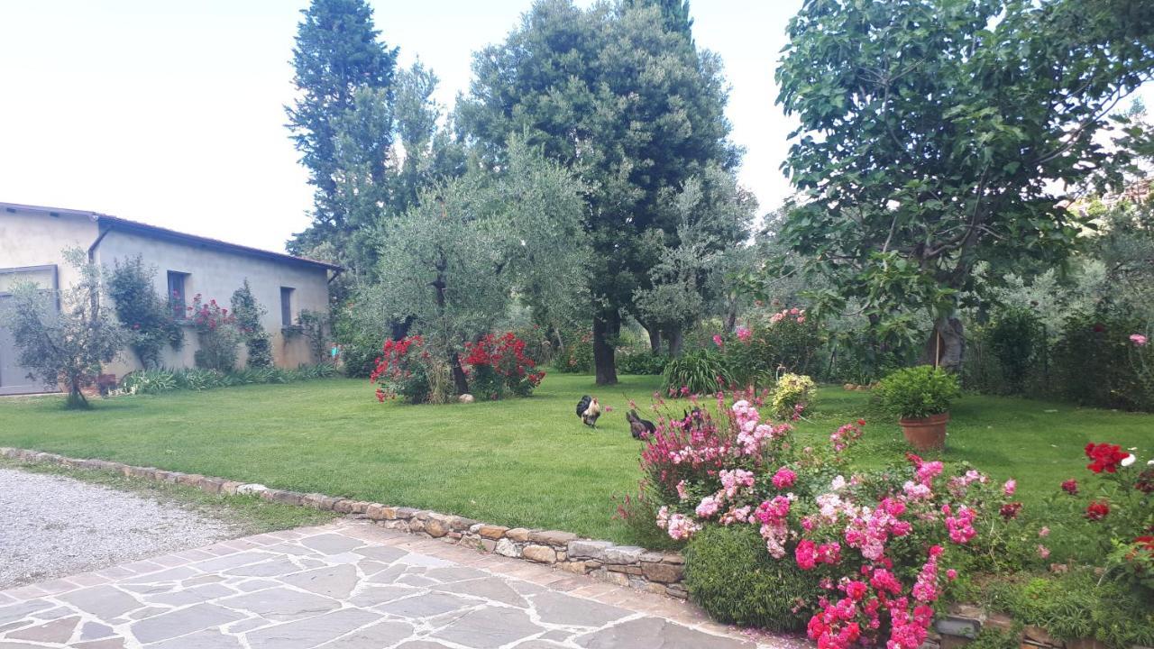 B&B L'Oliveto Lucignano Eksteriør bilde